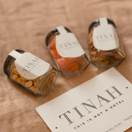 Tinah Hotel 4*